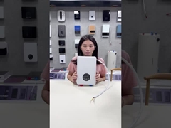 Sofortiger elektrischer Warmwasserbereiter