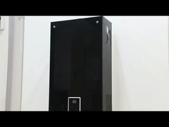 Aussehen des Wasserbereiters mit gezwungenem Abgas