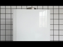 20kW Gasboiler 10L LPG NG Instant Tankless Gas Wasserheizung