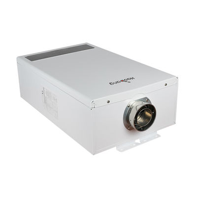 13.1kg Balanced Flue Water Heater with and Water Flow Valve CE Certification