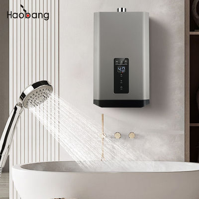 Affordable Forced Exhaust Gas Water Heater Homeland Function G1/2'' Gas Inlet 220V / 110V