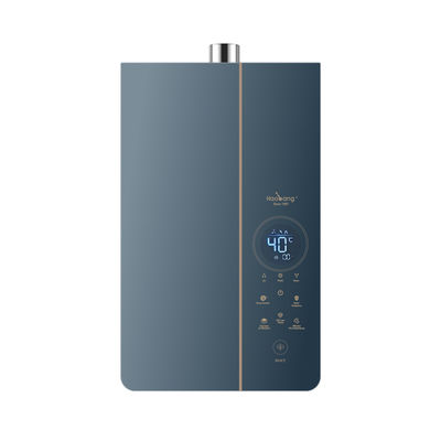 21kW Heat Output Power Forced Exhaust Gas Water Heater 10L Capacity for Flexible Installation