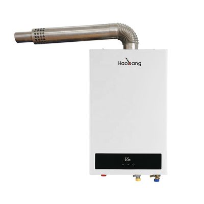 10L Forced Exhaust Gas Water Heater CE Certified Wall Mounted