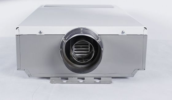 220V 10L Portable Tankless Water Heater with 0.015Mpa-0.8MPa Water Pressure for Bathroom