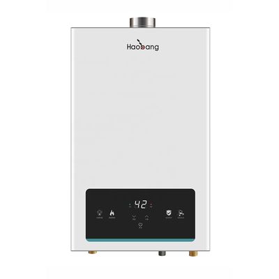 220V 0.02MPa-0.8MPa IPX2 Waterproof Flue Gas Water Heater Balanced Exhaust Gas Water Heater
