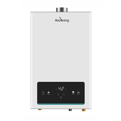10L Tanklose Gas-Wasserbereiter Innenraum Instant Dusche Zwangsauspuffart