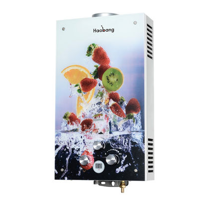20 kW 10 L LP Gas Erdgas Geysir Tankloser Typ Sofortheizung