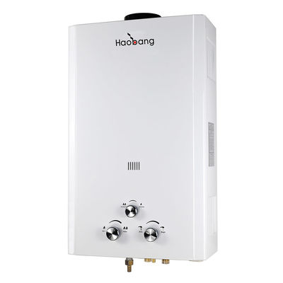 10 L LPG NG Instant Gas Warmwasserbereiter Rauchabgas Typ DC 3V