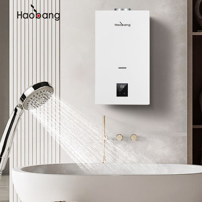80°C-Thermostat-Einstellungen Rauchgas-Wasserbereiter mit Seidenschirm-Logo und 1% kostenlose Ersatzteile