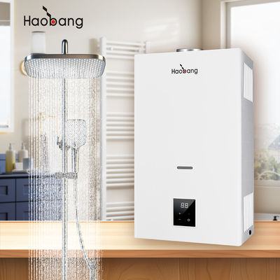Wandmontierte Rauchgas-Wasserbereiter mit Rauchabgas und optionalem Schutz